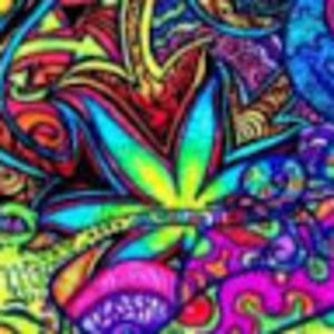 Meet your Posher, Shane alexander